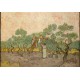XXL Teile - Van Gogh: Women Picking Olives,1889