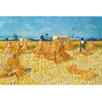 Puzzle   Vincent van Gogh, 1888