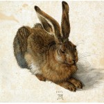Puzzle   Albrecht Dürer - Der Hase, 1502
