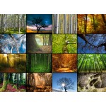 Puzzle   Collage - Bäume