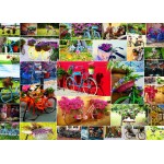 Puzzle   Collage - Fahrräder