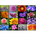 Puzzle   Collage - Frühlingsblumen