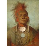 Puzzle   George Catlin: See-non-ty-a, an Iowa Medicine Man, 1844-1845