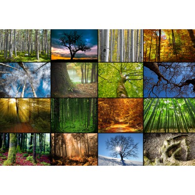 Puzzle Grafika-01369 Collage - Bäume