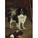 Puzzle  Grafika-01747 Edouard Manet: Tama: The Japanese Dog, 1875