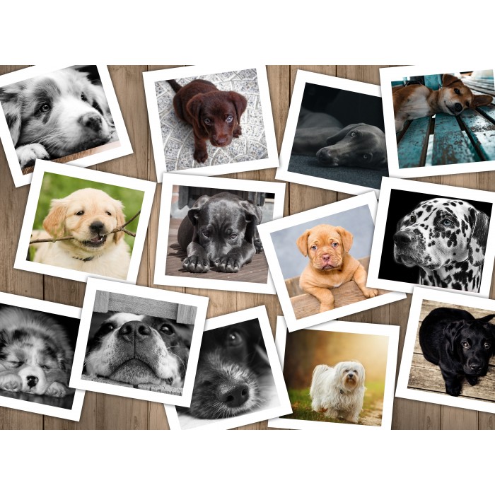 Puzzle Grafika-F-30620 Hunde