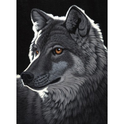 Puzzle Grafika-F-30692 Schim Schimmel - Night Wolf