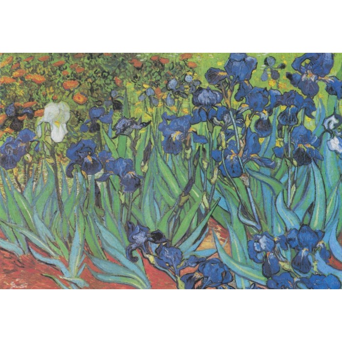 Van Gogh Vincent - Saint-Remy - Les Iris, 1889