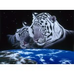 Puzzle   Schim Schimmel - Sleep Tight