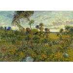 Puzzle   Van Gogh: Sunset at Montmajour, 1888