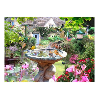 Puzzle House-Of-Puzzles-HP0728 Sommer-Vögel