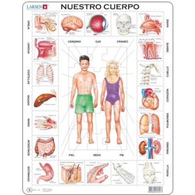 Larsen Rahmenpuzzle - Nuestro Cuerpo (auf Spanisch) 35 Teile Puzzle Larsen-OB1-ES