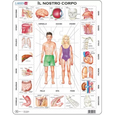 Larsen Rahmenpuzzle - Il Nostro Corpo (auf Italienisch) 35 Teile Puzzle Larsen-OB1-IT
