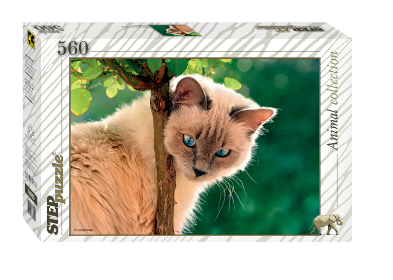 Vorschaubild von Katze Vorschaubild von Katze