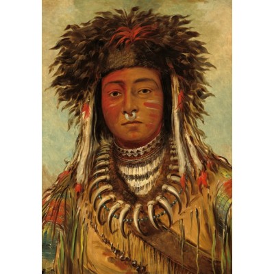 Grafika Kids George Catlin: Boy Chief - Ojibbeway, 1843 12 Teile Puzzle Grafika-F-31308