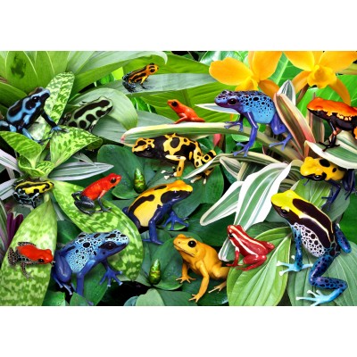 Alipson Puzzle Fun Frogs 500 Teile Puzzle Alipson-Puzzle-F-50168