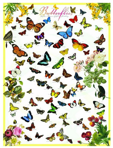 Eurographics Schmetterlinge 1000 Teile Puzzle Eurographics-6000-0077