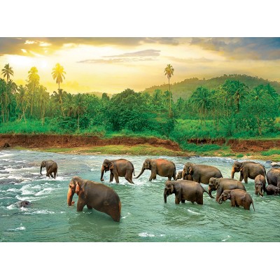 Eurographics Save our Planet Collection - Regenwald 1000 Teile Puzzle Eurographics-6000-5540