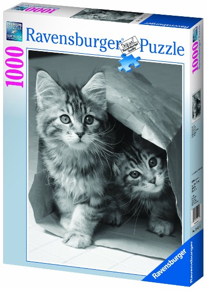 Vorschaubild von Katze Vorschaubild von Katze