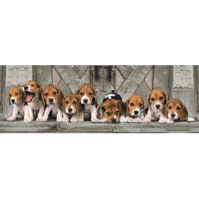 Clementoni Beagles 1000 Teile Puzzle Clementoni-39869