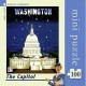 The Capitol - American Airlines Poster Mini