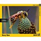 XXL Teile - Busy Bee
