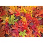 Puzzle  Nova-Puzzle-41156 Autumn Leaves