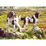 Puzzle  Otter-House-Puzzle-75804 Spaniel on Moor
