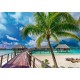 Trefl Prime Puzzle - Paradise Beach - Bora-Bora